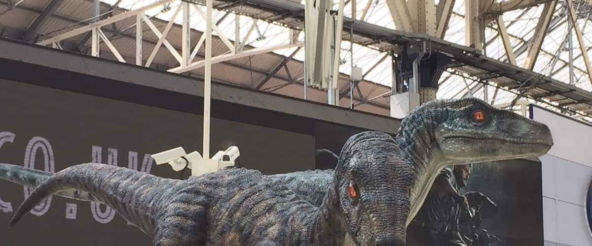 You find the strangest things at Waterloo station these days ....