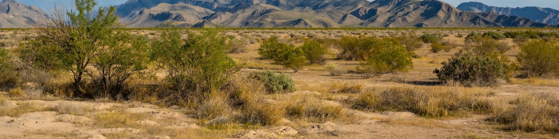 Drive thru the dry valley Coahuila, Mexico