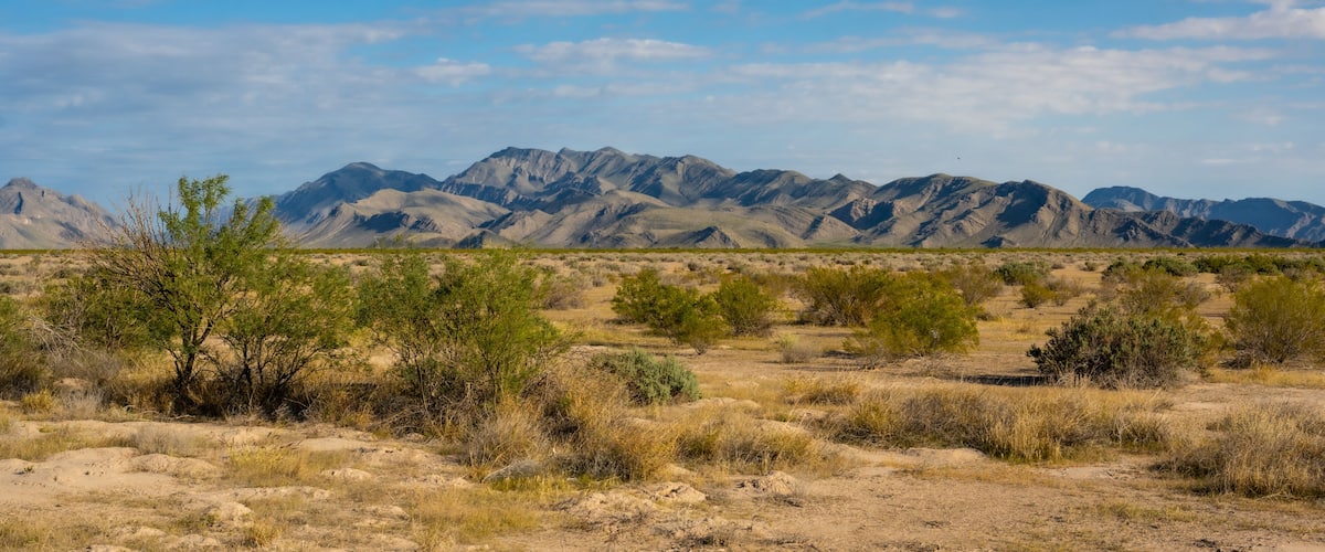 A desert landscape with sparse vegetation and a mountain range in the background.