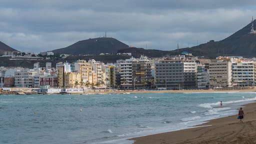 Las Palmas Gran Canaria January 2016-5499