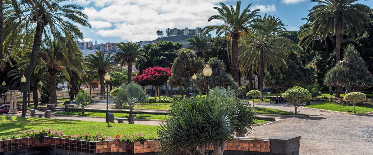 Las Palmas Gran Canaria January 2016-5722