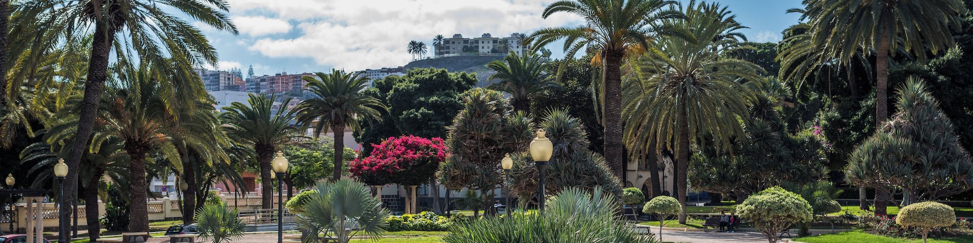 Las Palmas Gran Canaria January 2016-5722