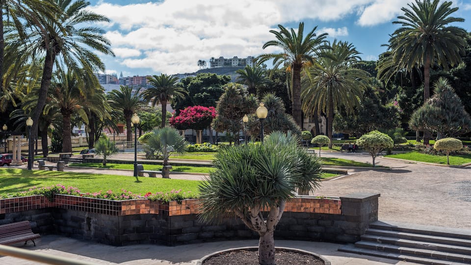 A park with palm trees, a fountain, and a bench.