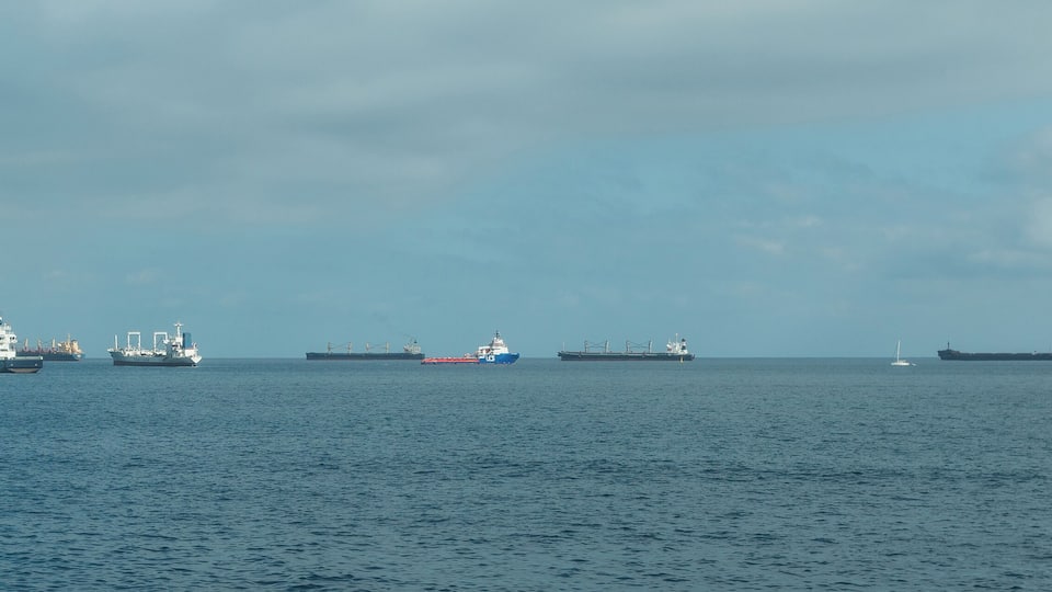 A fleet of cargo ships on a calm sea.