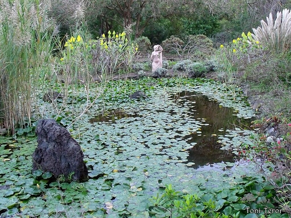 Escultura en la charca