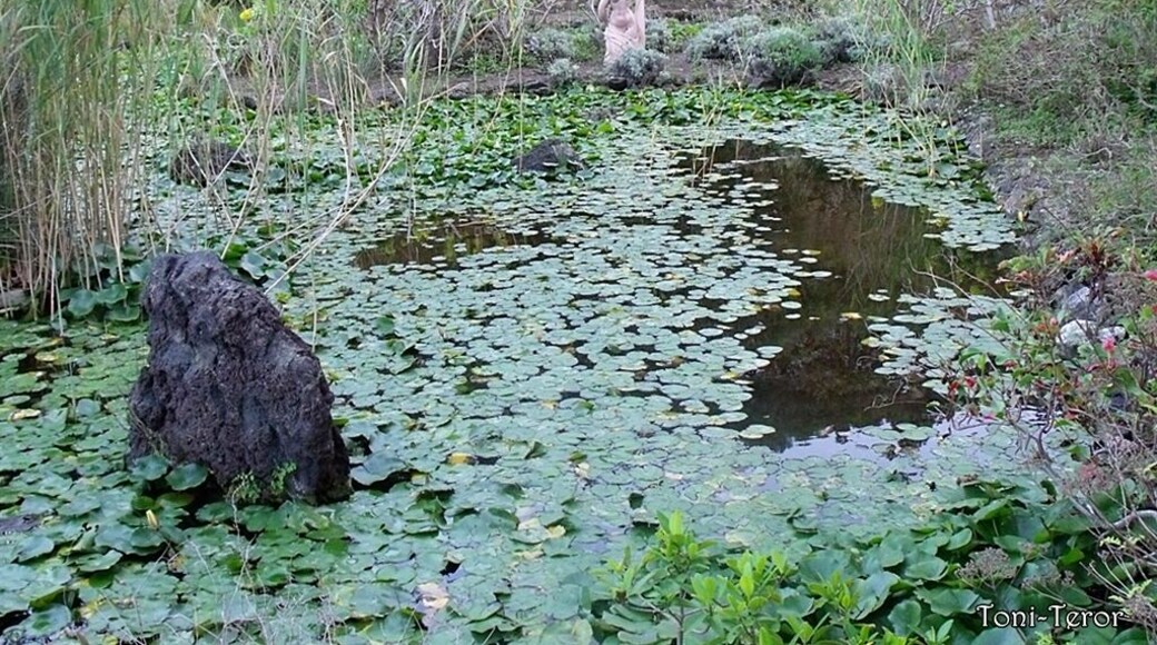 Escultura en la charca
