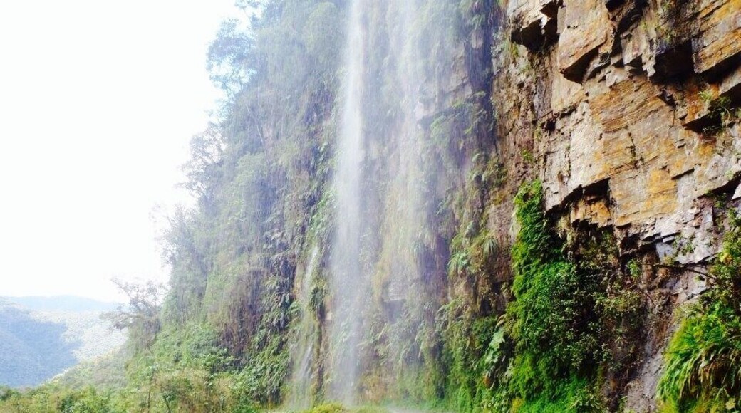 Biking down "the world's most dangerous road" or "death road" is one of the most fun activities to do in Bolivia. Starting at high altitude in snow and ending in jungle! Did it with the awesome Gravity tours in La Paz who aren't lacking in the safety practices like other companies.