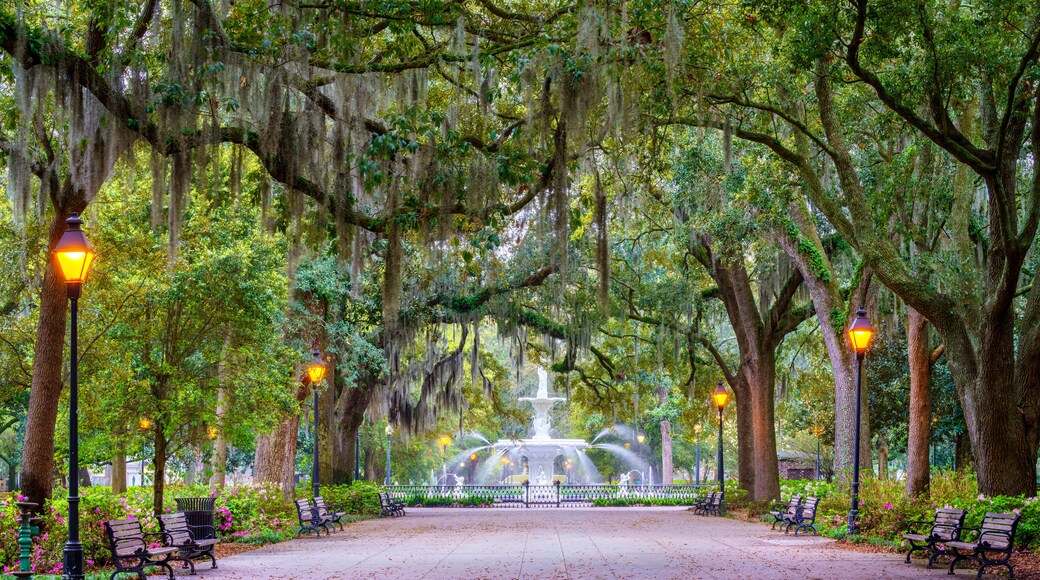 A park with a central fountain, benches, and trees with Spanish moss.