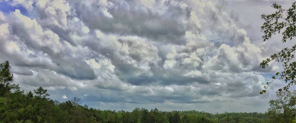 Hidden treasure in western Georgia, Providence Canyon looks like a mini Grand Canyon.