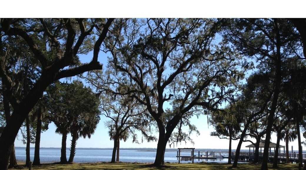 Amazing place in South East Georgia.