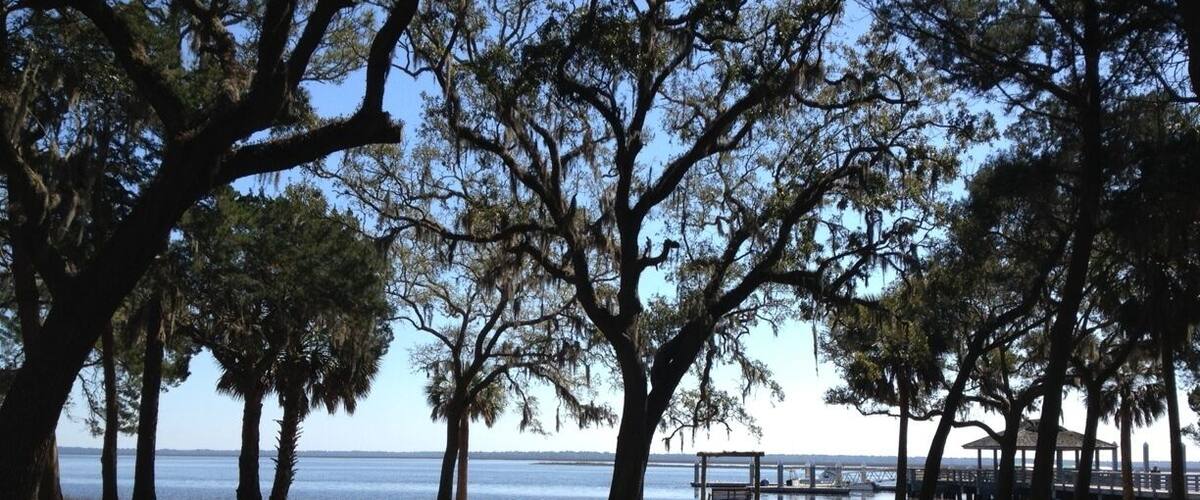 A park with large trees and a view of the water.