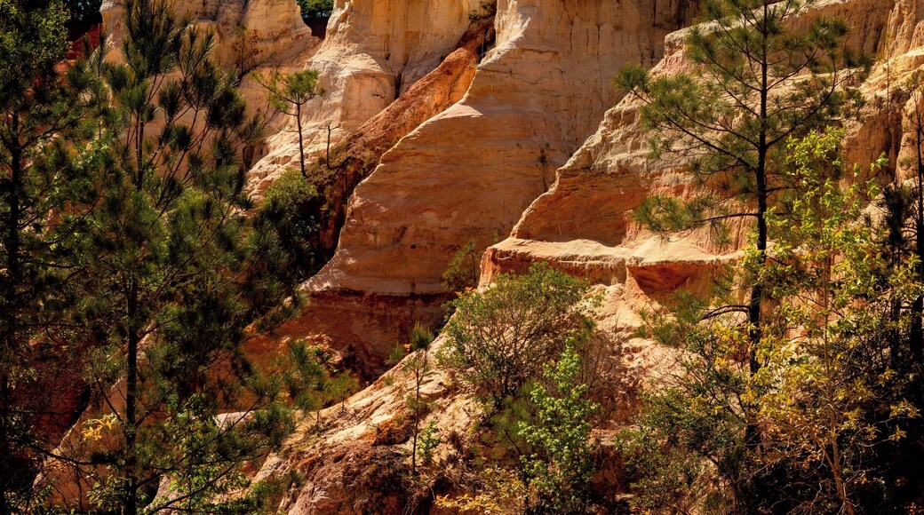 Walking through the canyon you can really get a view of the walls and colors of the rocks.