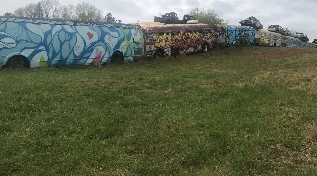 The painted school buses form a fence around a junk yard. Be aware that you just park along the road and go up the hill to get there. I think you can tour the yard but it’s only open mon - fri 8-5 pm.