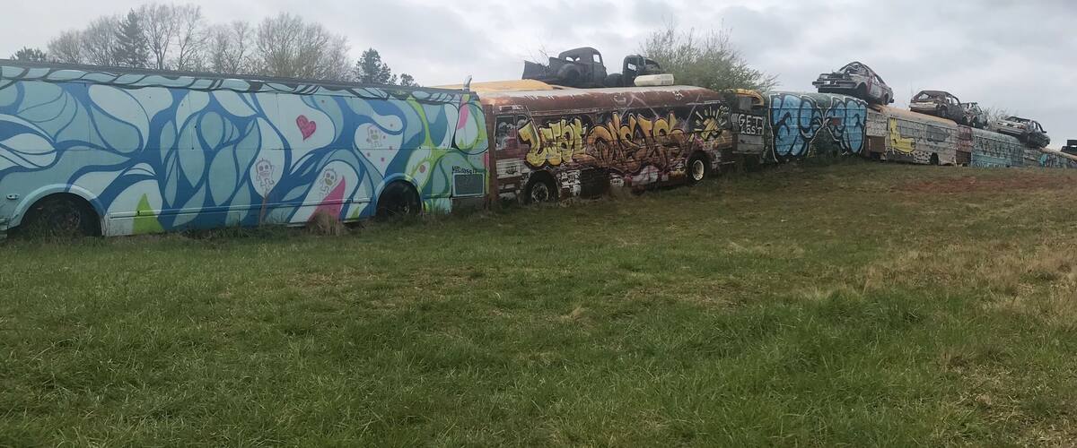 A row of graffiti-covered buses parked on a grassy field.