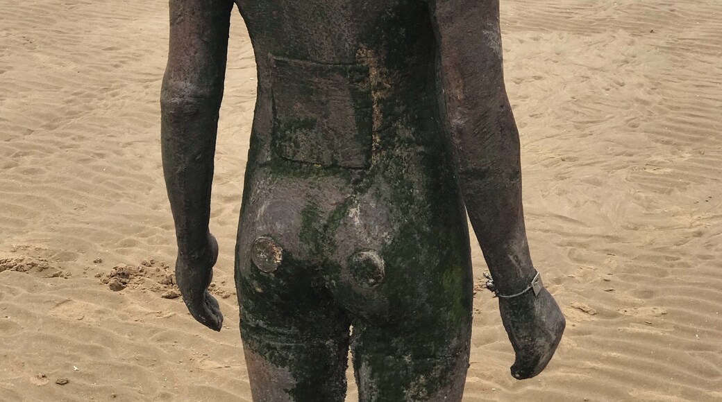 Metropolitan Borough of Sefton