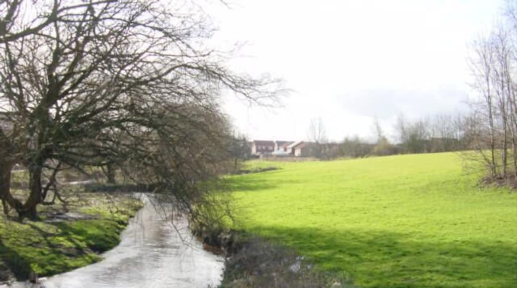 Kirkby Brook looking South. Kirkby Brook joins Mill Brook and flows into the River Alt. The photograph was taken looking south near Bewley Drive which was originally called Cat Tail Lane where there was a farm of the same name. The houses in the background are in Westvale on the other side of Valley Road.