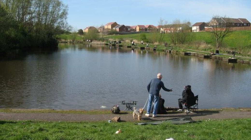 Pond, Mill Lane, Kirkby The 1891 map shows Kirkby Mill just north of Mill Lane, it was demolished in the 1950's. It appears to have created a mill pond of 1.337 acres and the outlet discharged southwards via Mill Brook, passing the church of St. Chad, eventually to drain into the River Alt. It is now a popular fishing spot for local residents.