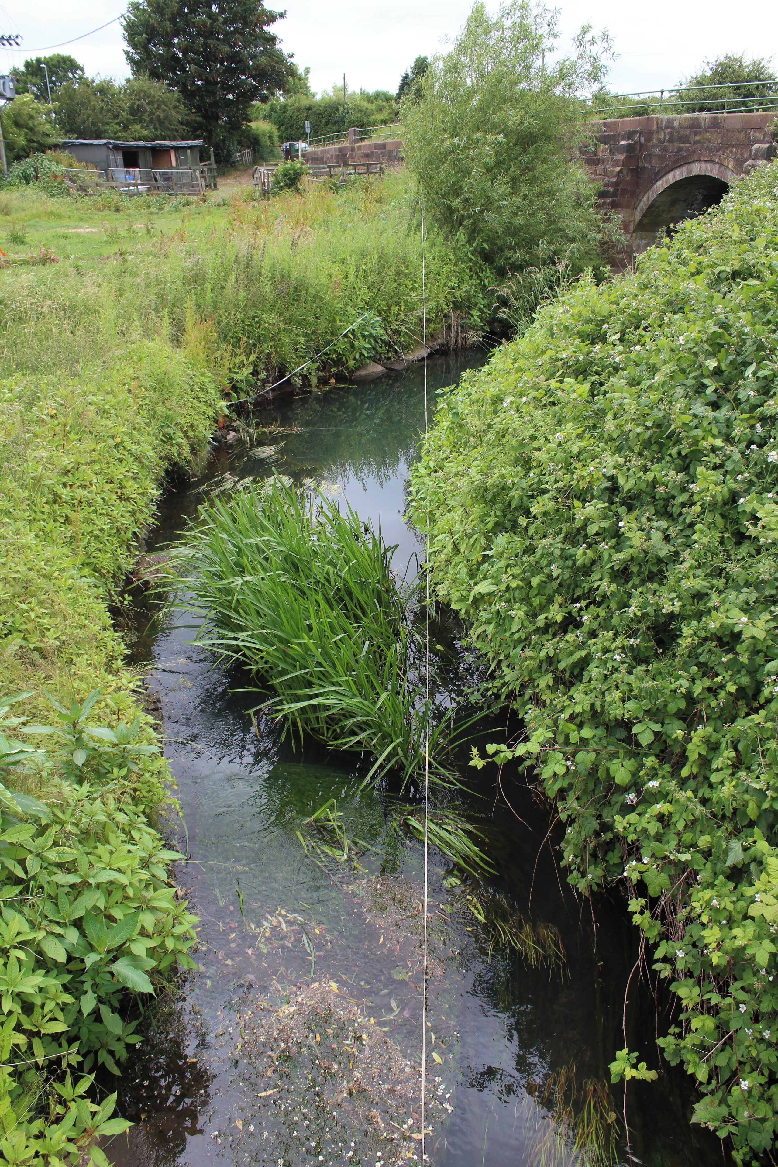 Looking east just at a bend in the brook, Mill Bridge in the distance