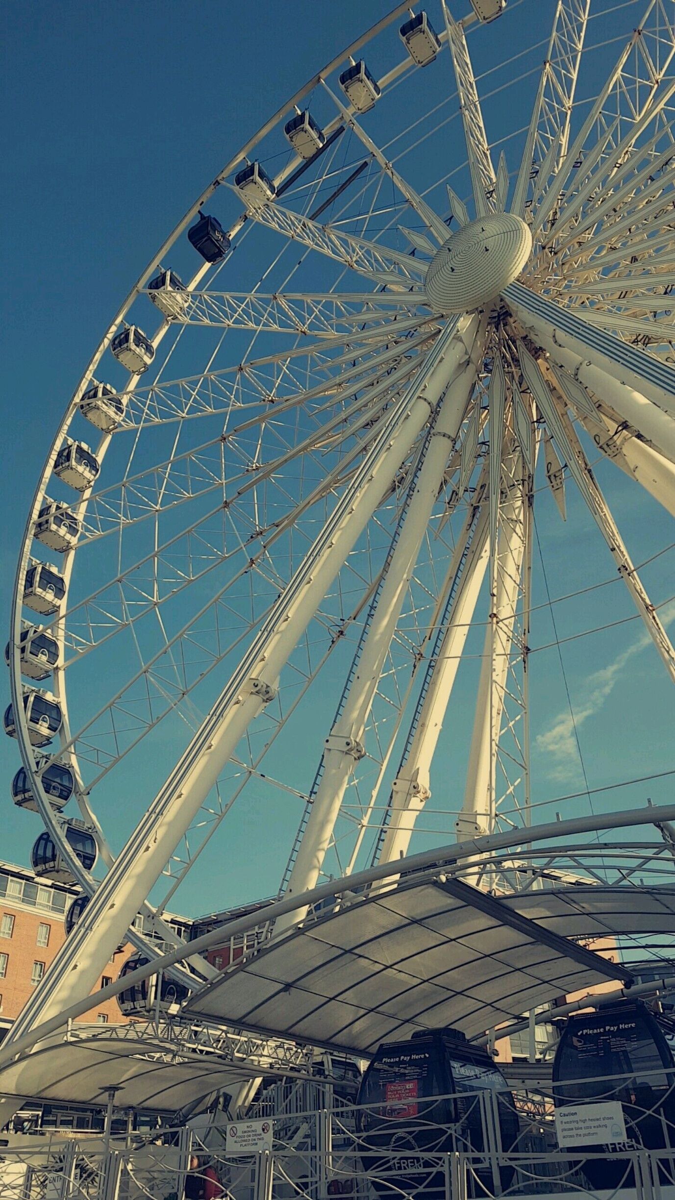 The view from here 👌