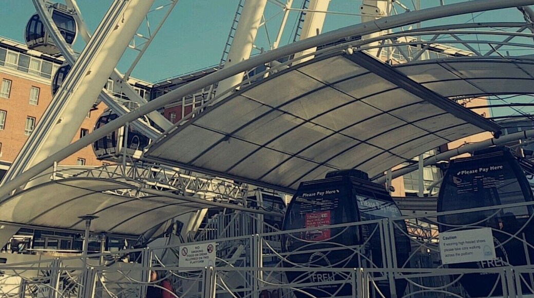 The view from here 👌