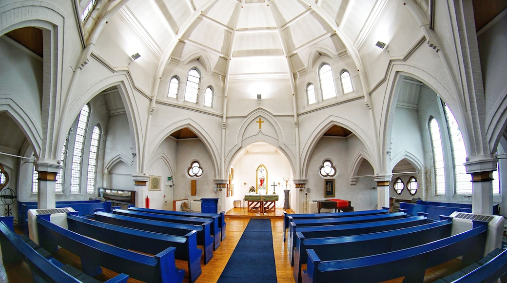 Interior of the beautiful Noric Church, Liverpool.
Taken on a Sony a6000 with a 7artisans fisheye lens.