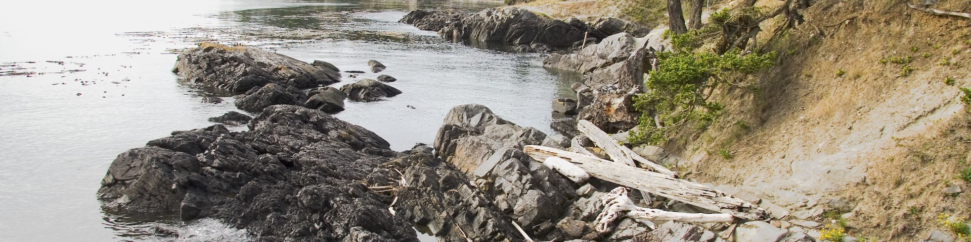 Scenic shot taken for Shark Reef Sanctuary on Lopez Island in the San Juan Islands of Washington