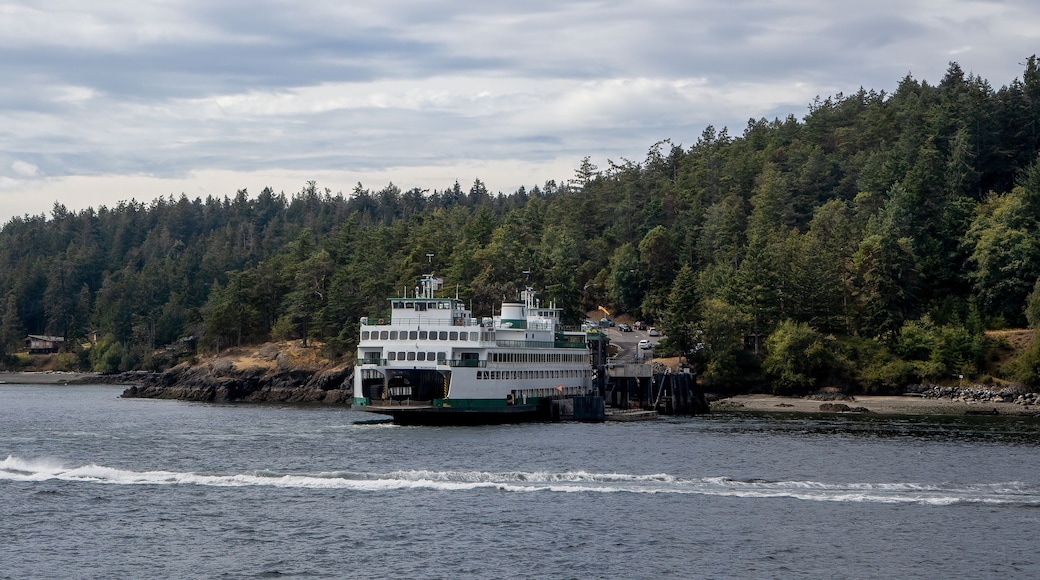A ferry traveling on a body of water with a forested shoreline in the background.