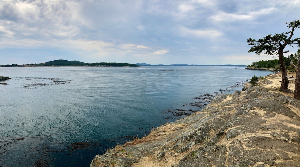 Lopez Island