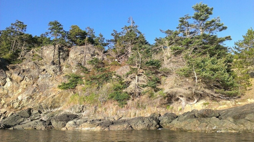Anchoring in Mackaye Harbor. #desktop
