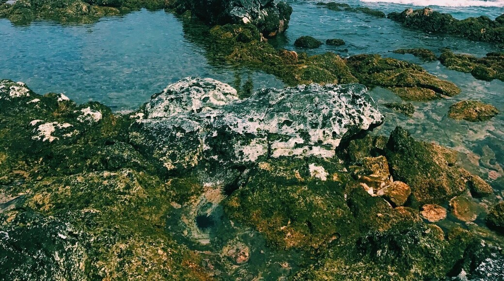 Napili Bay, watching the ocean crash waves on land and getting to see sea urchins up close and personal. Missing Maui. #LifeAtExpedia