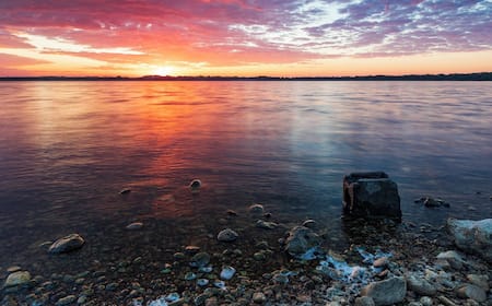 Vuelos baratos desde MXN$6,494 de Puebla a Laredo Expedia