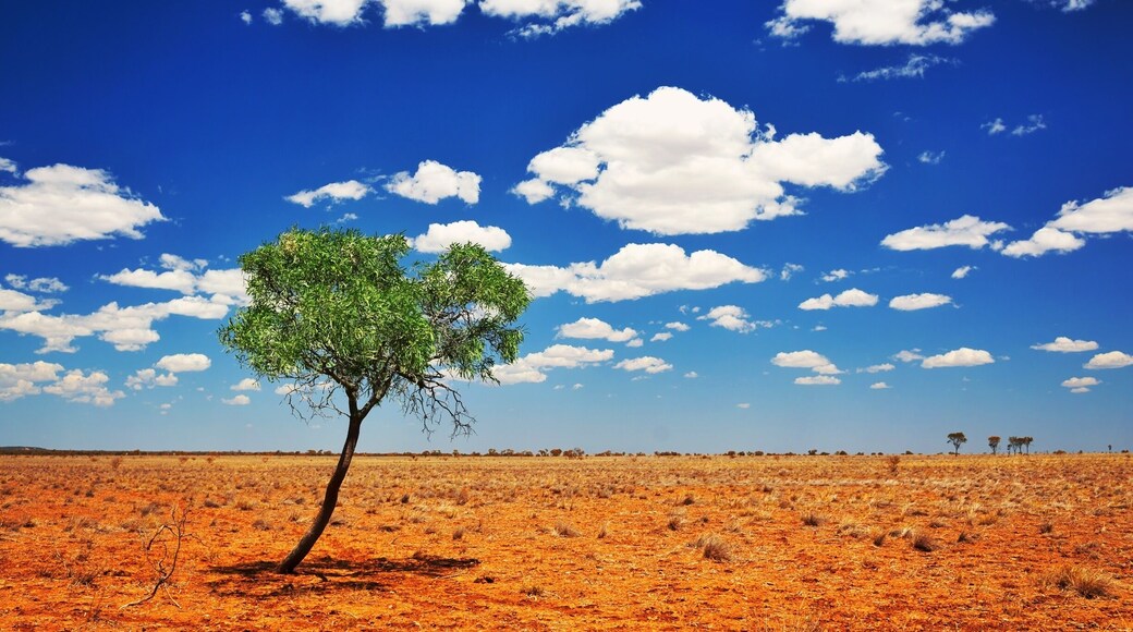 I'm in Winton which is so far in the Aussie outback that it doesn't have a geotag! Tag in anyone you know that might be in country Queensland, I'm hosting 2 photo walks tomorrow for Queensland's "World's Biggest Instameet". :)