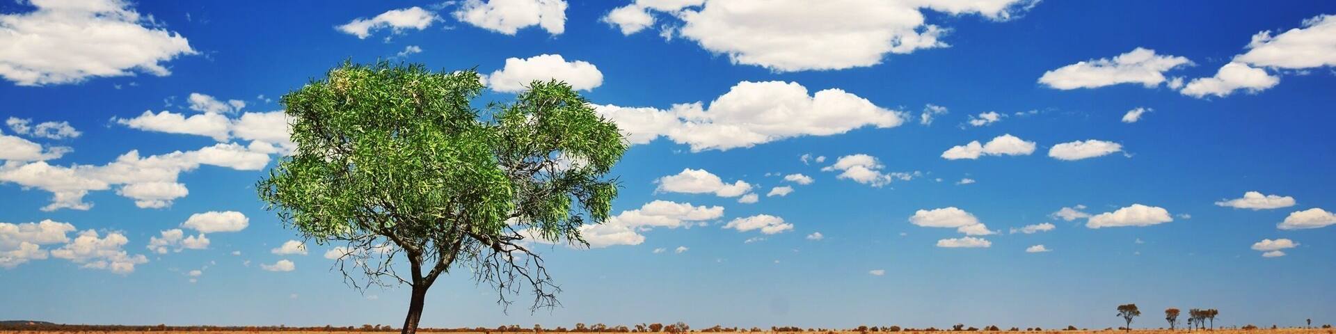 I'm in Winton which is so far in the Aussie outback that it doesn't have a geotag! Tag in anyone you know that might be in country Queensland, I'm hosting 2 photo walks tomorrow for Queensland's "World's Biggest Instameet". :)