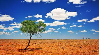 I'm in Winton which is so far in the Aussie outback that it doesn't have a geotag! Tag in anyone you know that might be in country Queensland, I'm hosting 2 photo walks tomorrow for Queensland's "World's Biggest Instameet". :)