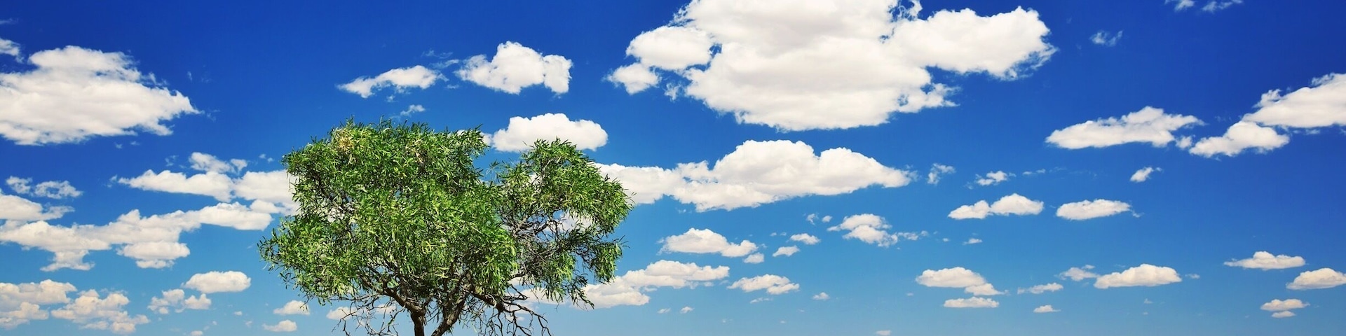 I'm in Winton which is so far in the Aussie outback that it doesn't have a geotag! Tag in anyone you know that might be in country Queensland, I'm hosting 2 photo walks tomorrow for Queensland's "World's Biggest Instameet". :)