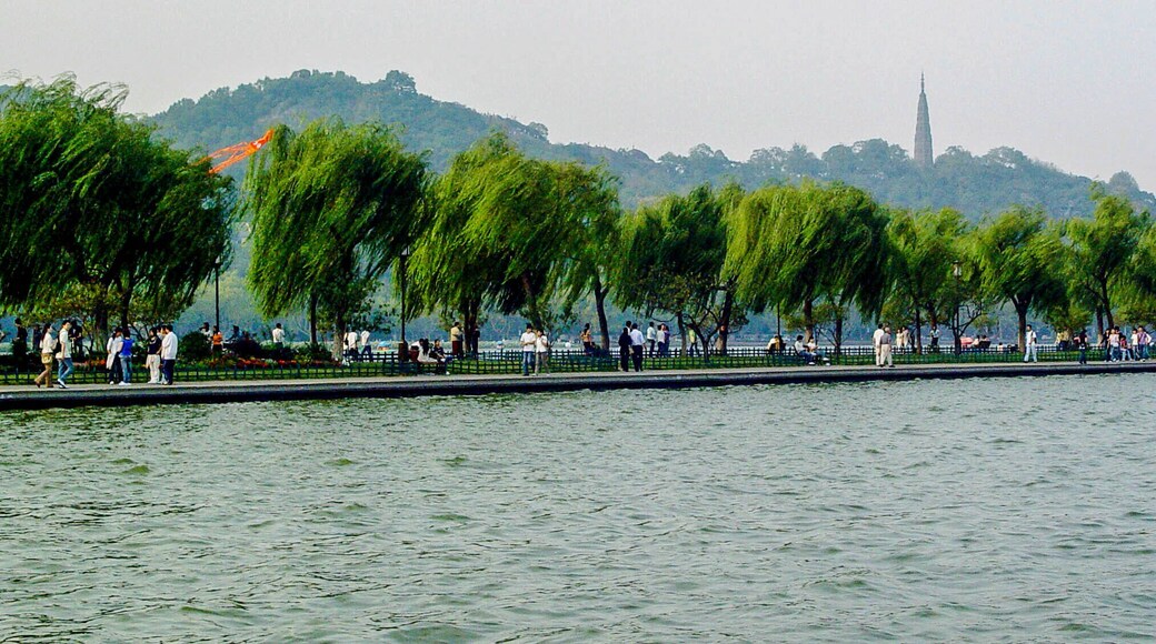 Impression #WestLake in Hangzhou.
西湖印象
https://twitter.com/Beautifulgx