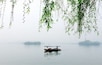 Spring time in Hangzhou, China.