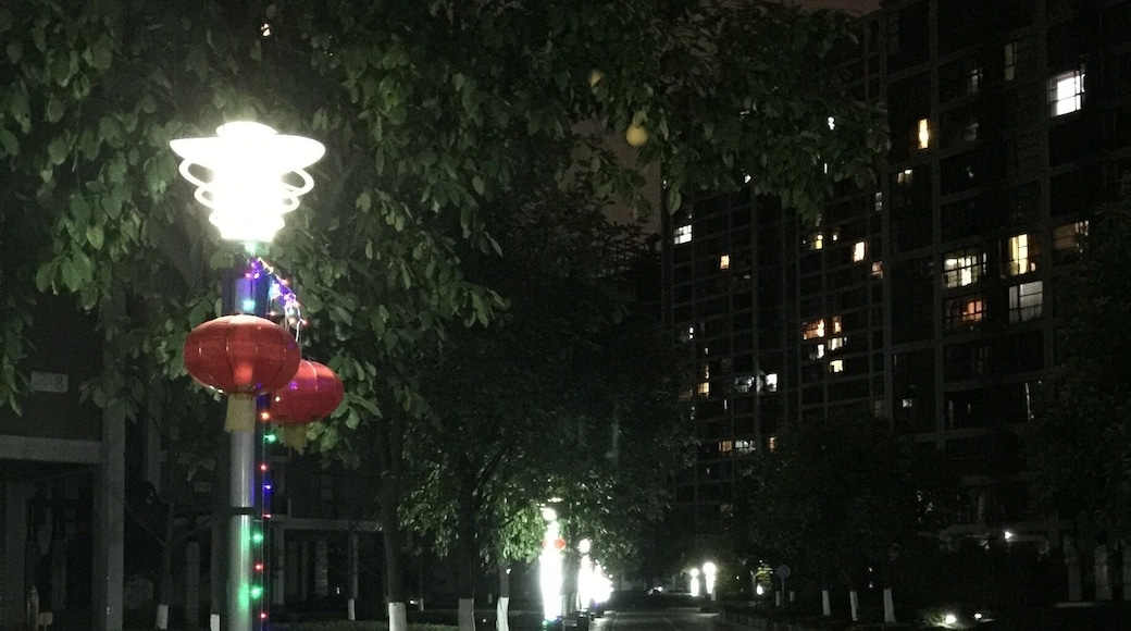 Valentine's night...