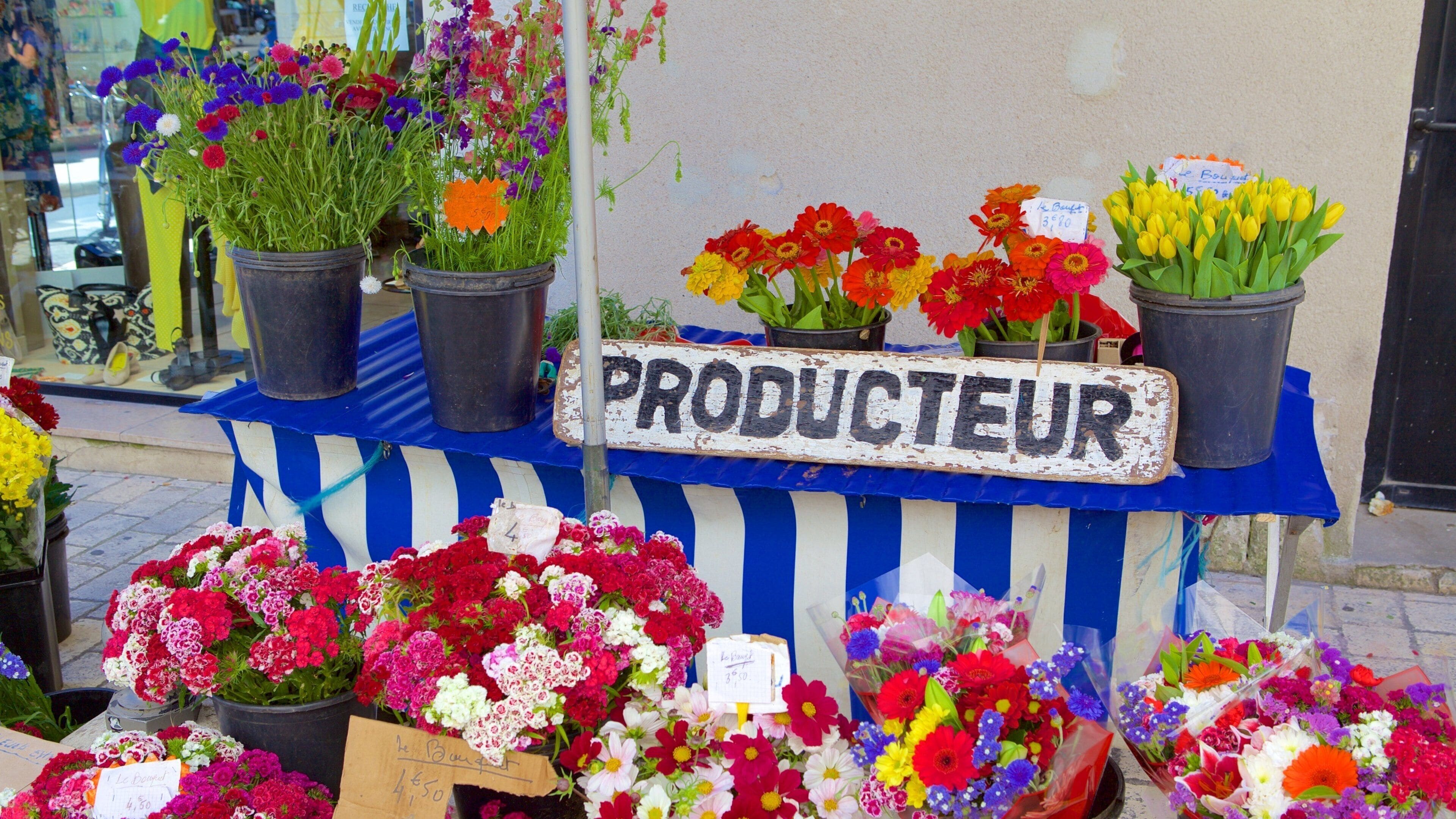 <h2>Top-rated places to stay near the beach in La Rochelle</h2>