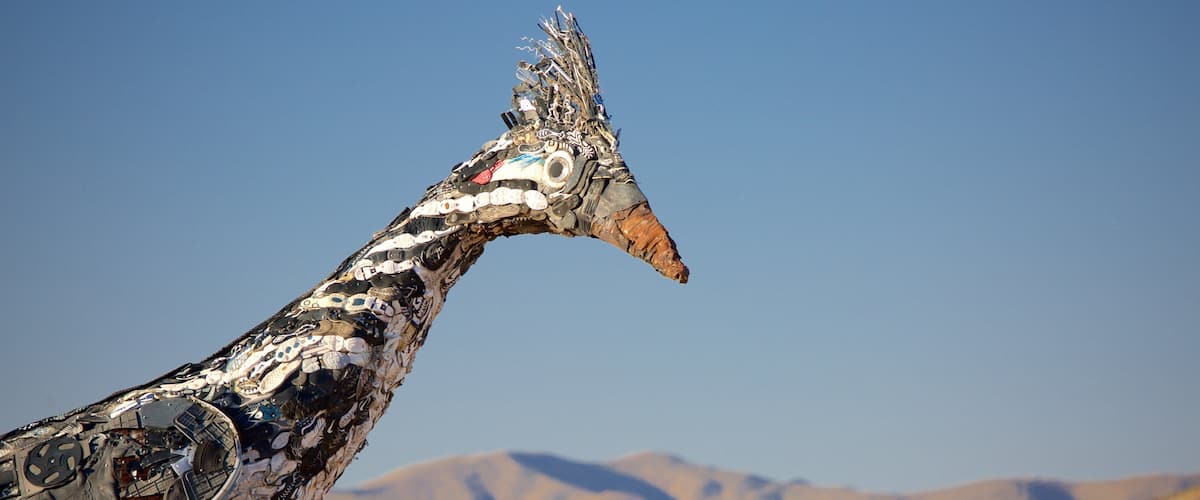 Las Cruces montrant art en plein air