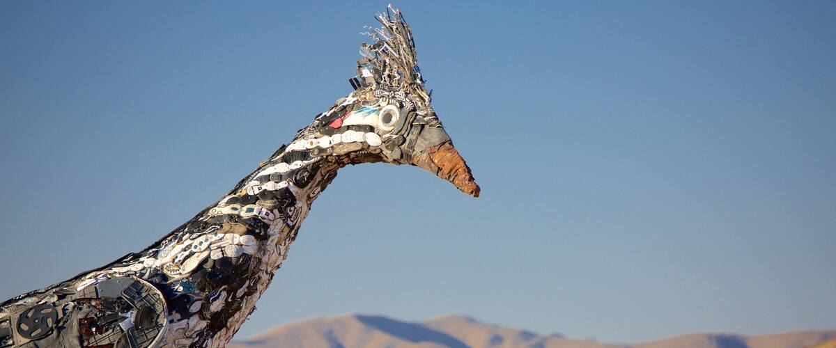 Las Cruces showing outdoor art