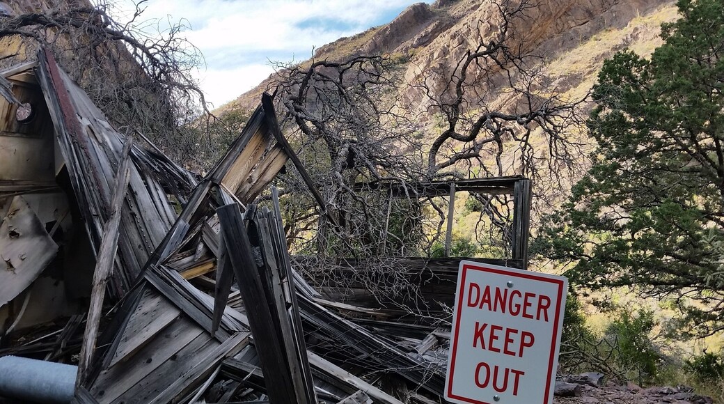 A tree overtakes a ruined guesthouse at the Boyd Sanitorium, abandoned in 1940. We found this and other ruins on the Dripping Springs Trail, at Dripping Springs Natural Area, run by the BLM northeast of Las Cruces, New Mexico.
#UStravel #NewMexico #mountains #explore #history #hiking