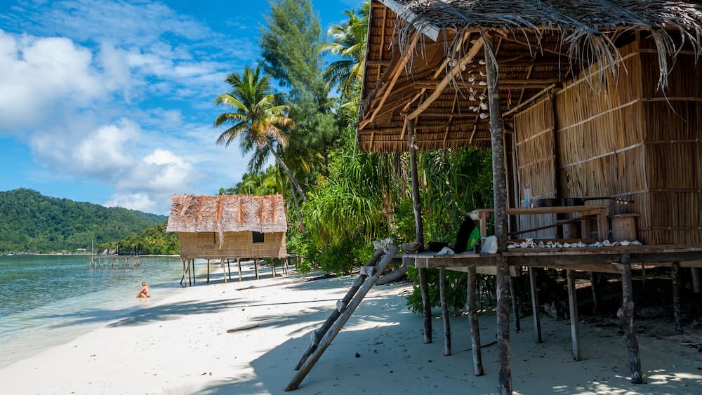 Nipa bamboo Huts at the White Sand beach with palm trees in Raja Ampat, Papua New Guinea, Indonesia; Shutterstock ID 352270307; purchase_order: -; Order: -; client: -; job: -