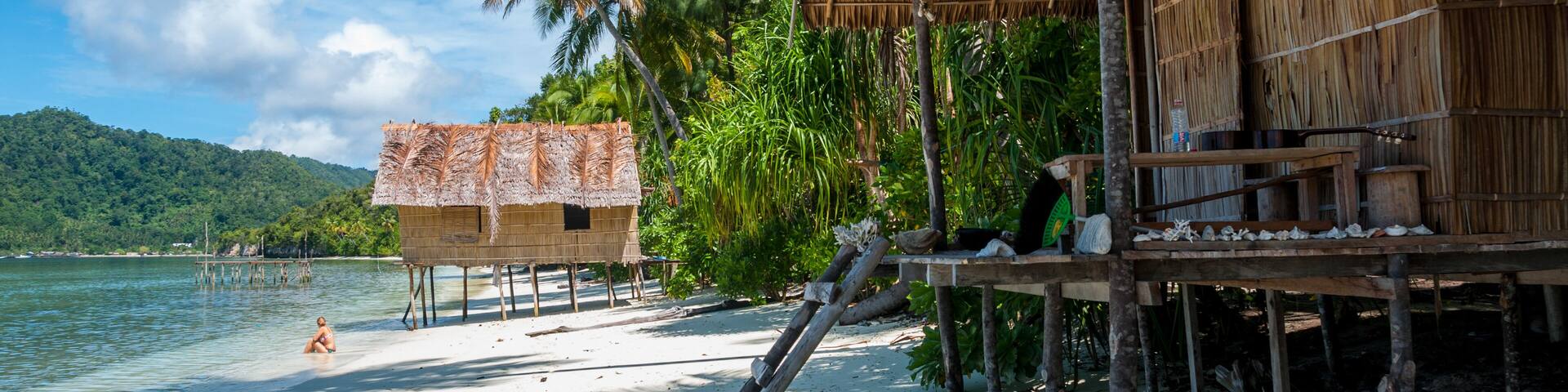 Nipa bamboo Huts at the White Sand beach with palm trees in Raja Ampat, Papua New Guinea, Indonesia; Shutterstock ID 352270307; purchase_order: -; Order: -; client: -; job: -