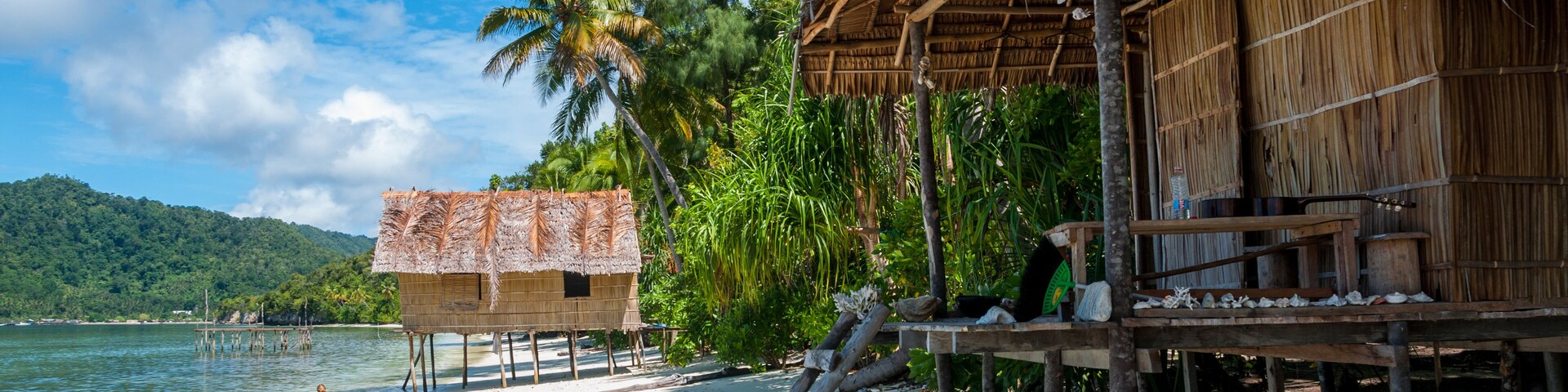 Nipa bamboo Huts at the White Sand beach with palm trees in Raja Ampat, Papua New Guinea, Indonesia; Shutterstock ID 352270307; purchase_order: -; Order: -; client: -; job: -