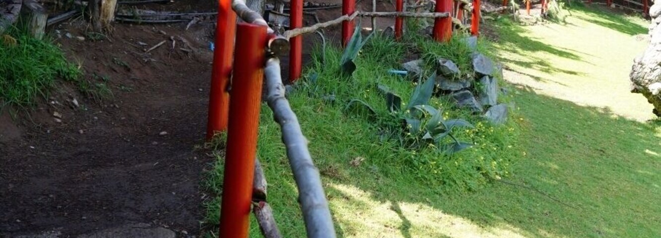 Un área cercada con un muro de piedra y árboles.
