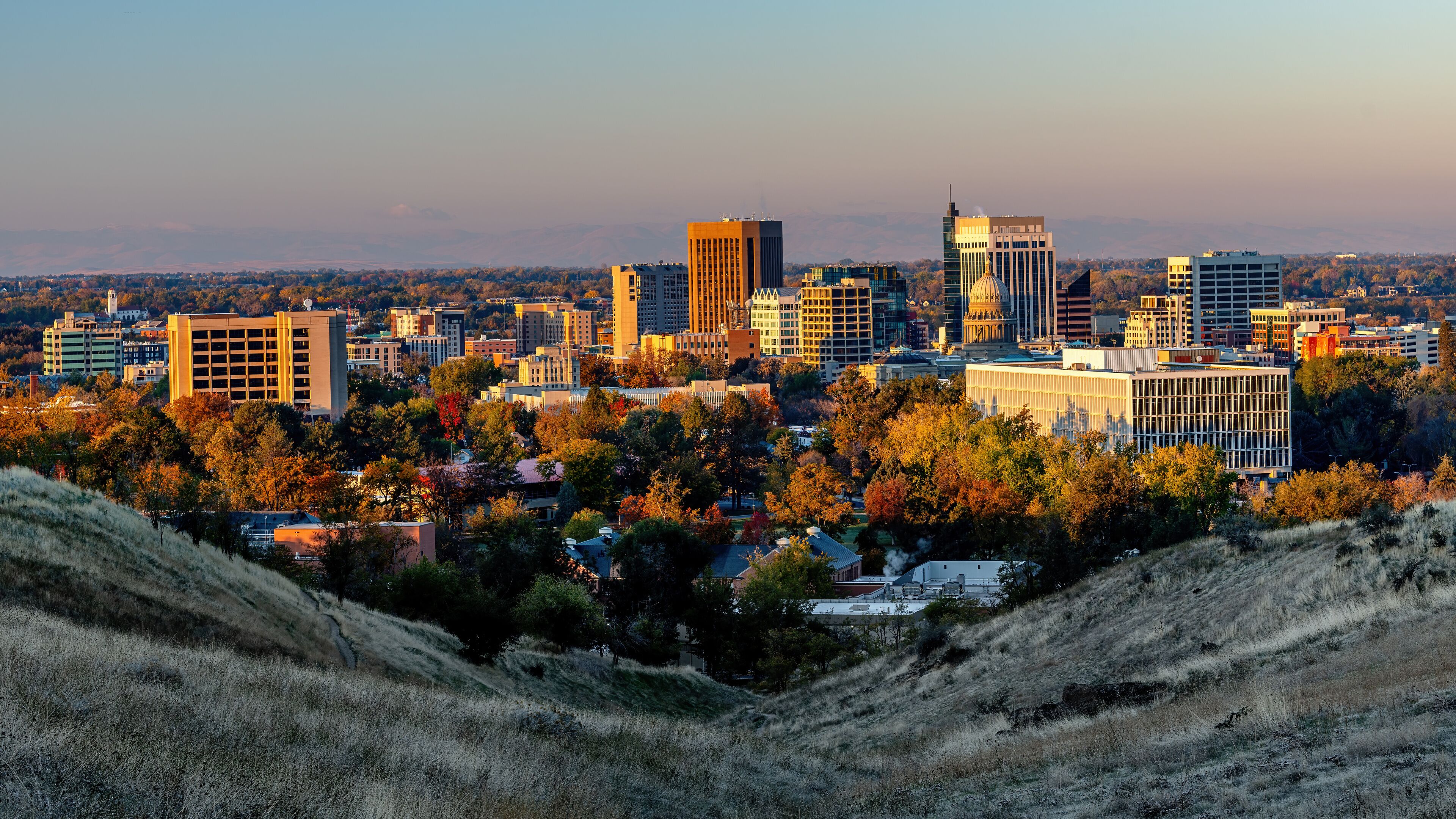 Autumn trees and Boise Skyline at sunrise