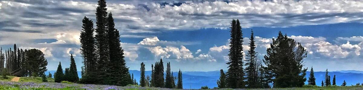 Just passed the Blue Lake trail we found this beautiful field of Lupine in bloom. This area has so many lakes to explore and such a diverse terrain for hikers of all levels. I ❤️ Idaho.
#takeahike