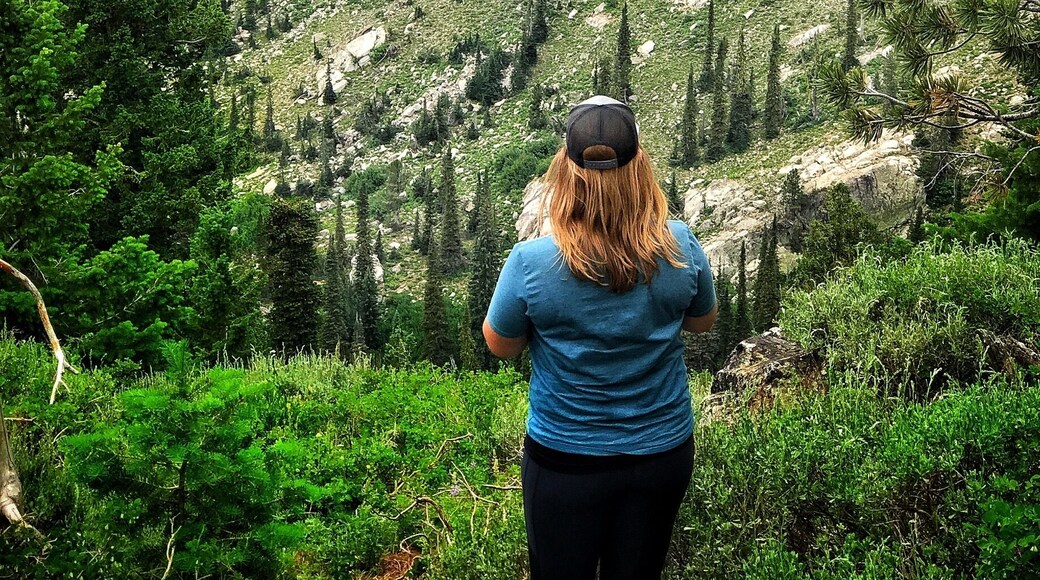 A peek at Blue Lake from the road. A very popular and short hike with a trail that has a steep decline and incline, of course, on the way out. If you aren't able to hike you can get this peek a boo view from the pull out just before the trail head off the road.
#takeahike