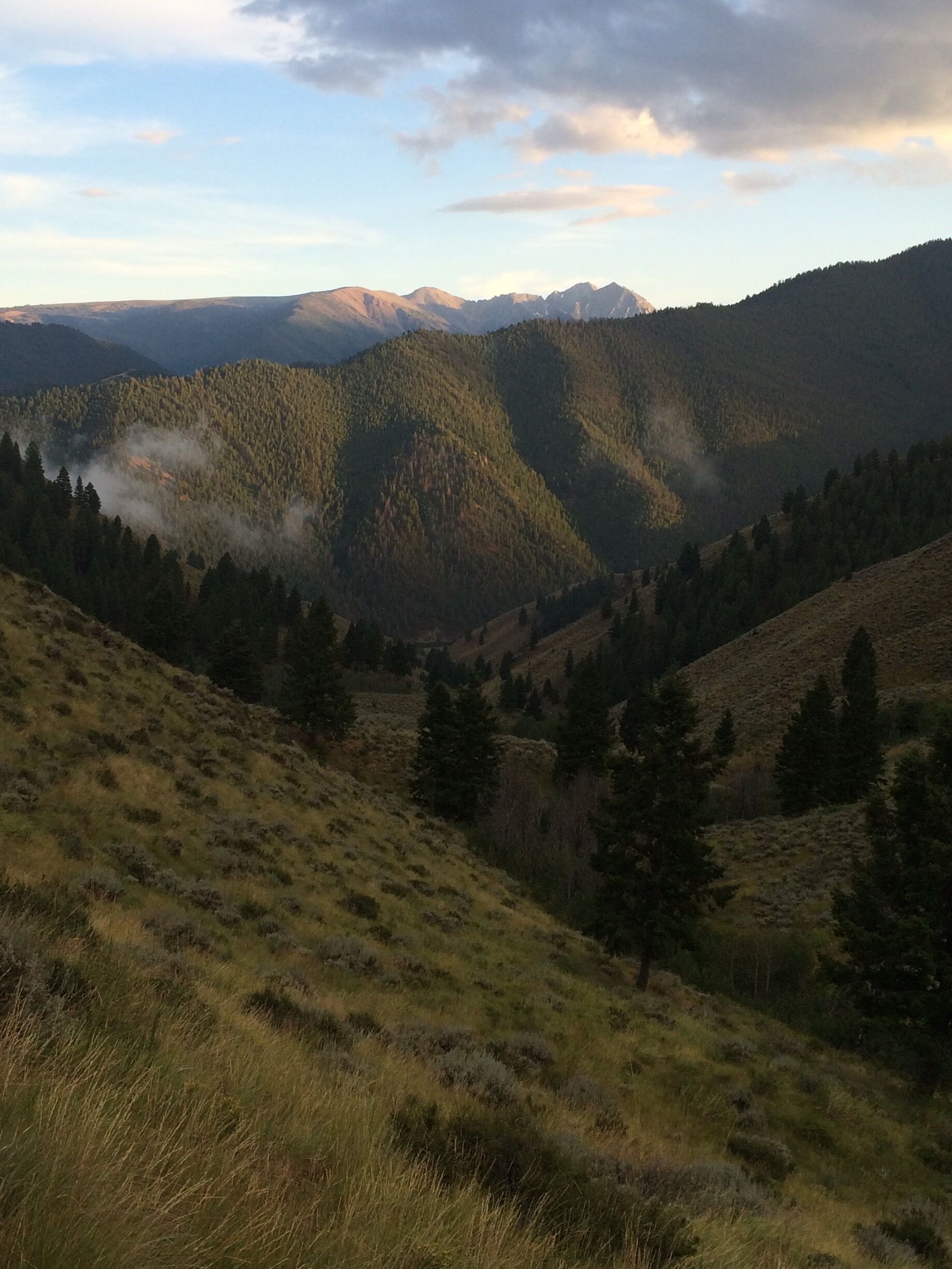 Looking down at the Salmon River. 
